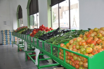  بالصور: افتتاح سوق يافا للخضار والفواكه بإدارة السيد يوسف أشقر 